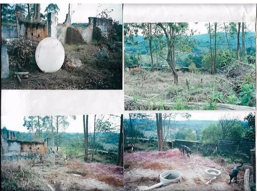 Terreno / Lote à venda, 1550m2 em Invernada, Embu Das Artes - SP - imagem 6 Foto 6 de Terreno / Lote à venda, 1550m2 em Invernada, Embu Das Artes - SP