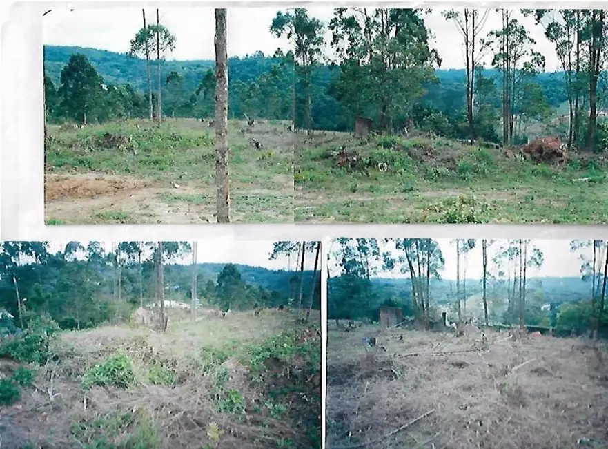 Terreno / Lote à venda, 1550m2 em Invernada, Embu Das Artes - SP - imagem 5 Foto 5 de Terreno / Lote à venda, 1550m2 em Invernada, Embu Das Artes - SP