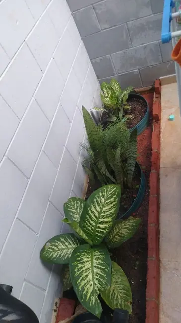 Foto 3 de Casa de Condomínio com 2 quartos à venda, 48m2 em Chácara Ondas Verdes, Cotia - SP