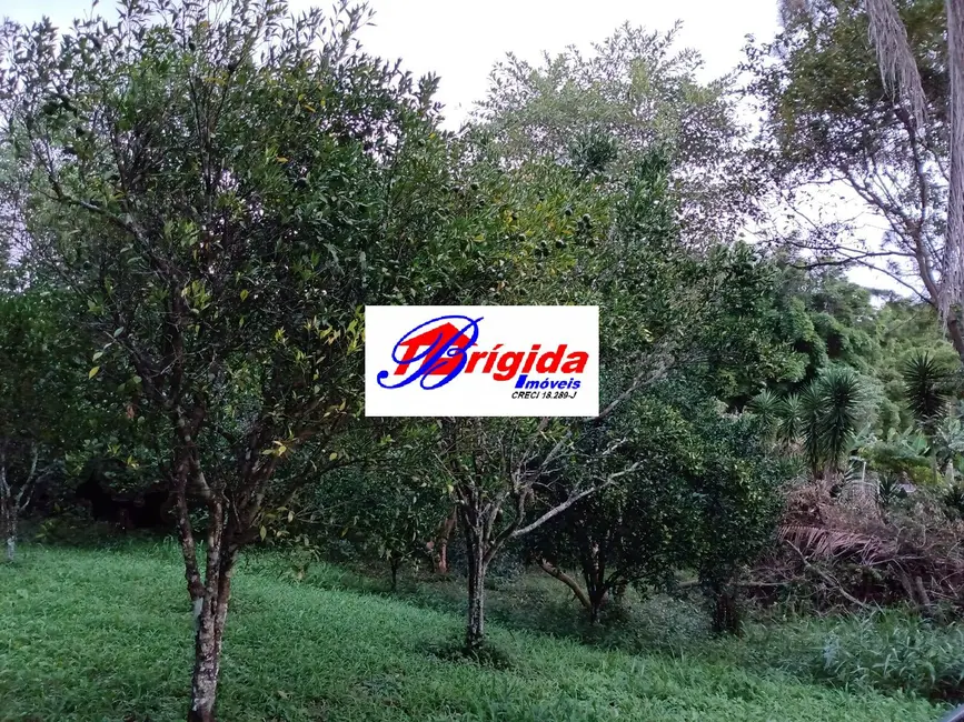 Chácara com 3 quartos à venda, 200m2 em Ibiuna - SP - imagem 7 Foto 7 de Chácara com 3 quartos à venda, 200m2 em Ibiuna - SP