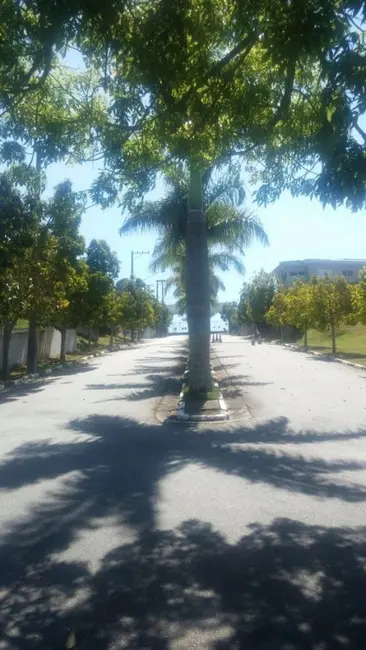 Foto 7 de Lote de Condomínio à venda, 560m2 em Pitas, Cotia - SP