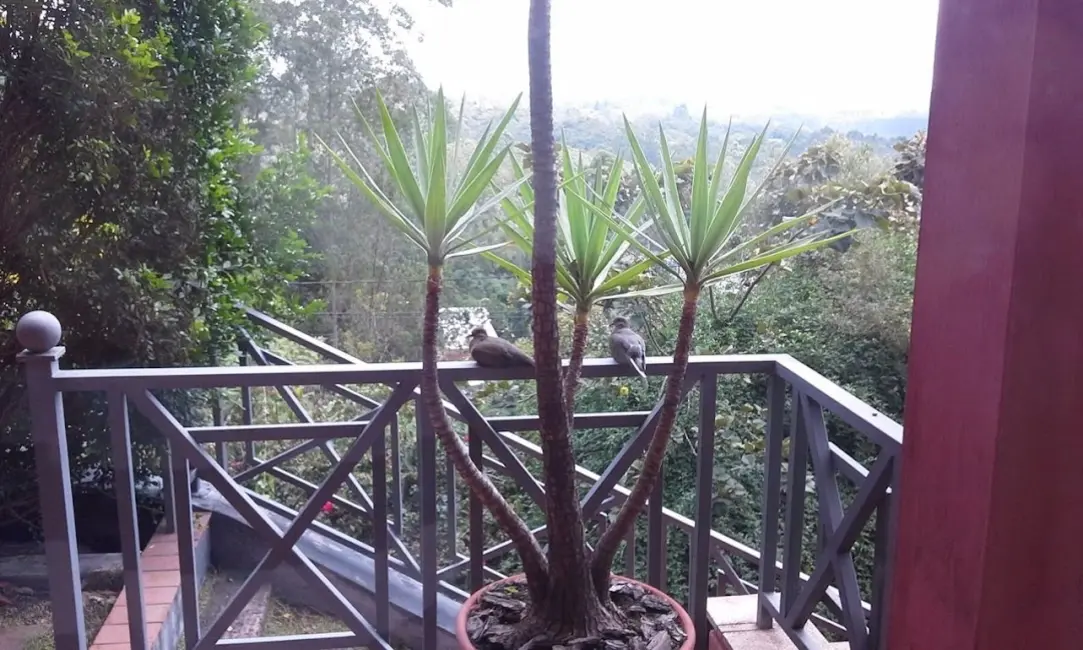Foto 5 de Casa com 3 quartos à venda, 300m2 em Embu Das Artes - SP