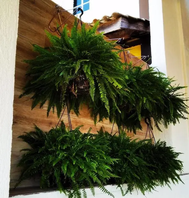 Foto 1 de Casa de Condomínio com 3 quartos à venda, 130m2 em Jardim Caiapiá, Cotia - SP