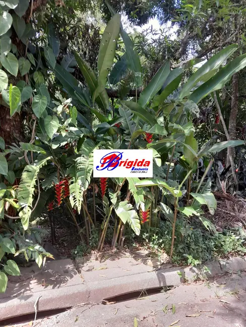 Casa com 3 quartos à venda, 159m2 em Jardim da Glória, Cotia - SP - imagem 4 Foto 4 de Casa com 3 quartos à venda, 159m2 em Jardim da Glória, Cotia - SP