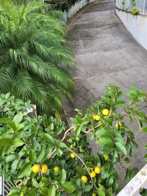 Foto 1 de Casa com 3 quartos à venda, 500m2 em Chácara São João, Carapicuiba - SP