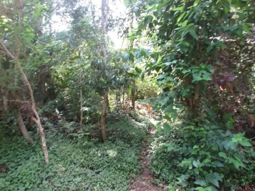 Foto 2 de Lote de Condomínio à venda, 500m2 em Paisagem Renoir, Cotia - SP