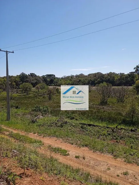 Foto 4 de Chácara com 3 quartos à venda, 24000m2 em Quitandinha - PR