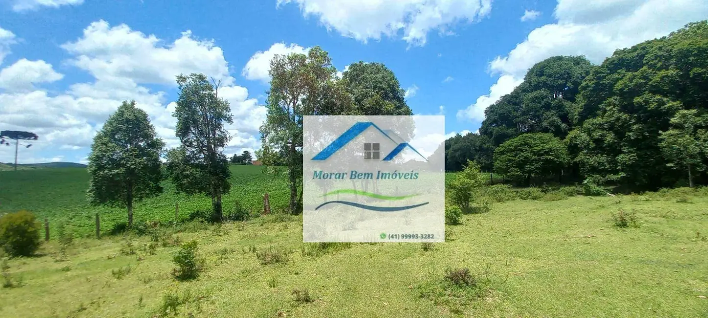 Foto 8 de Chácara com 4 quartos à venda, 14m2 em Antonio Olinto - PR