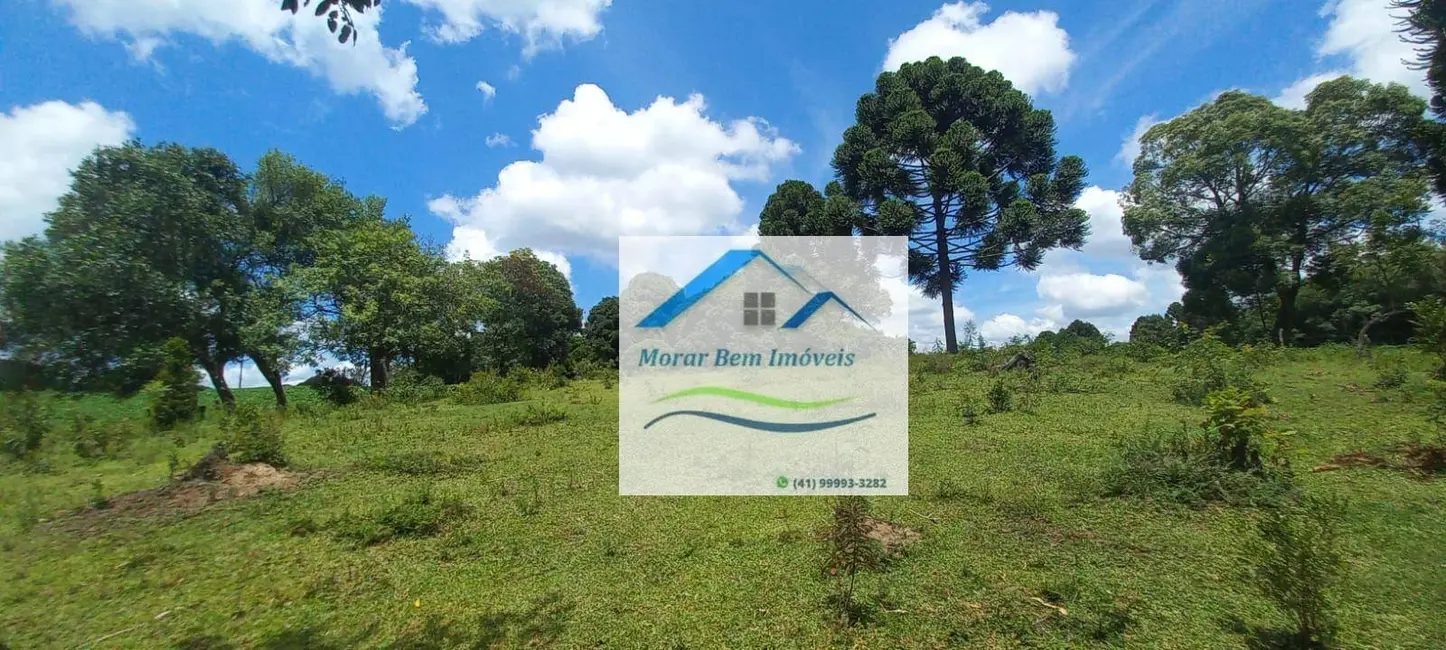 Foto 7 de Chácara com 4 quartos à venda, 14m2 em Antonio Olinto - PR