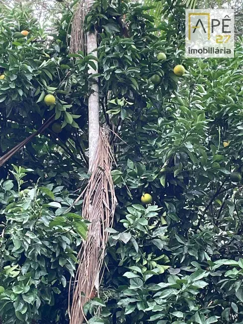 Sobrado com 2 quartos à venda, 900m2 em Cananeia - SP - imagem 4 Foto 4 de Sobrado com 2 quartos à venda, 900m2 em Cananeia - SP