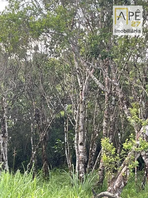 Terreno / Lote à venda, 490m2 em Cananeia - SP - imagem 6 Foto 6 de Terreno / Lote à venda, 490m2 em Cananeia - SP