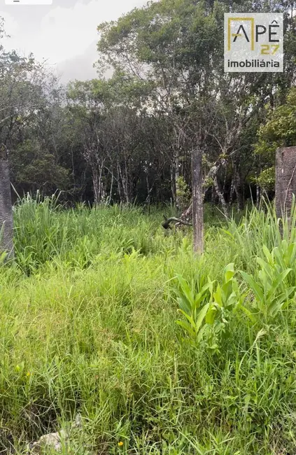 Terreno / Lote à venda, 490m2 em Cananeia - SP - imagem 5 Foto 5 de Terreno / Lote à venda, 490m2 em Cananeia - SP