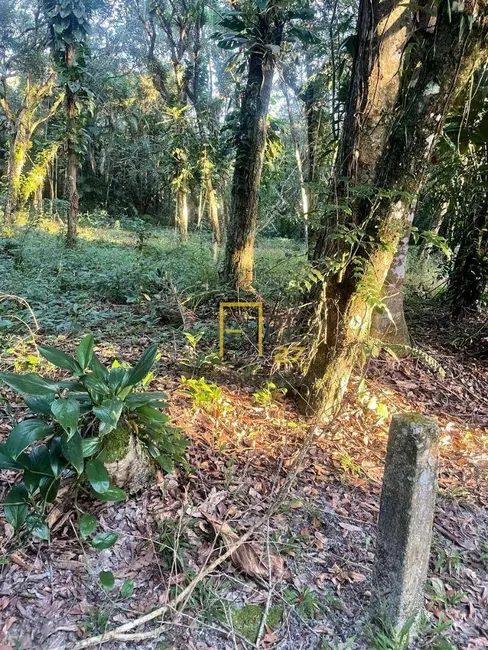 Terreno / Lote à venda, 1300m2 em Cananeia - SP - imagem 5 Foto 5 de Terreno / Lote à venda, 1300m2 em Cananeia - SP