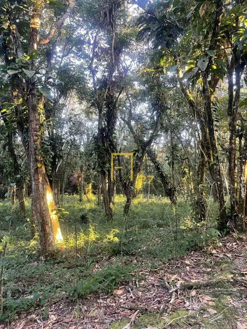 Foto 2 de Terreno / Lote à venda, 1300m2 em Cananeia - SP