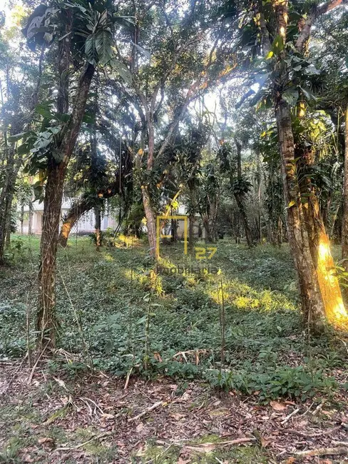 Terreno / Lote à venda, 1300m2 em Cananeia - SP - imagem 9 Foto 9 de Terreno / Lote à venda, 1300m2 em Cananeia - SP