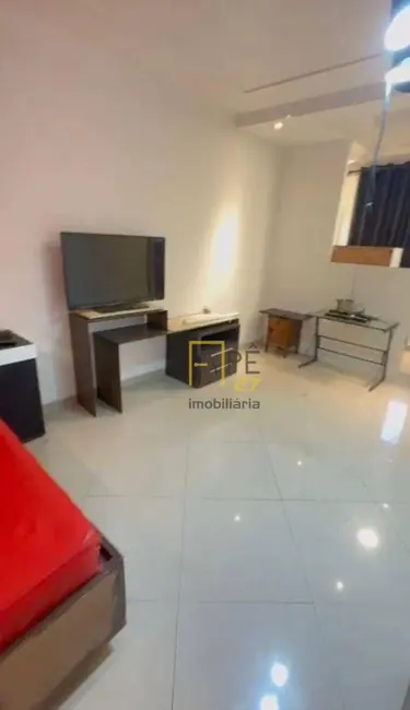 Foto 3 de Kitnet com 1 quarto para alugar, 28m2 em Vila Mazzei, São Paulo - SP