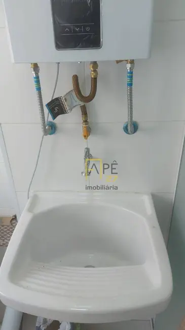 Foto 5 de Apartamento com 2 quartos para alugar, 45m2 em Vila Mazzei, São Paulo - SP