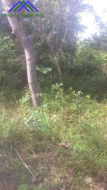 Foto 3 de Terreno / Lote à venda, 200m2 em Vera Cruz - BA