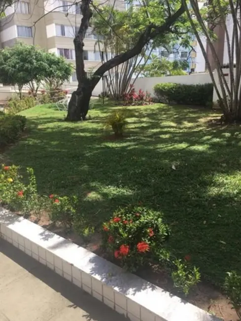 Foto 3 de Apartamento com 1 quarto à venda e para alugar, 34m2 em Barra, Salvador - BA