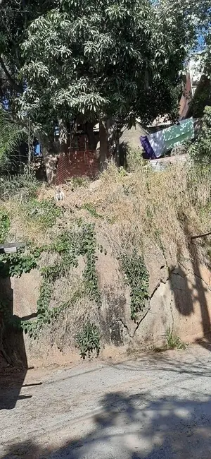 Foto 1 de Terreno / Lote à venda, 234m2 em Vila Ceres, Barueri - SP