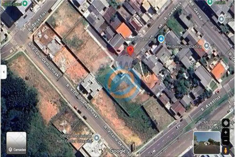 Terreno / Lote à venda, 202m2 em Capela Velha, Araucaria - PR - imagem 7 Foto 7 de Terreno / Lote à venda, 202m2 em Capela Velha, Araucaria - PR