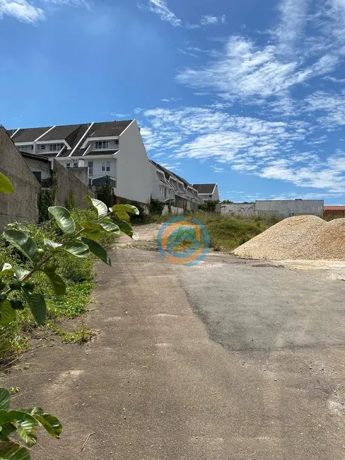 Loja para alugar, 500m2 em Uberaba, Curitiba - PR - imagem 6 Foto 6 de Loja para alugar, 500m2 em Uberaba, Curitiba - PR