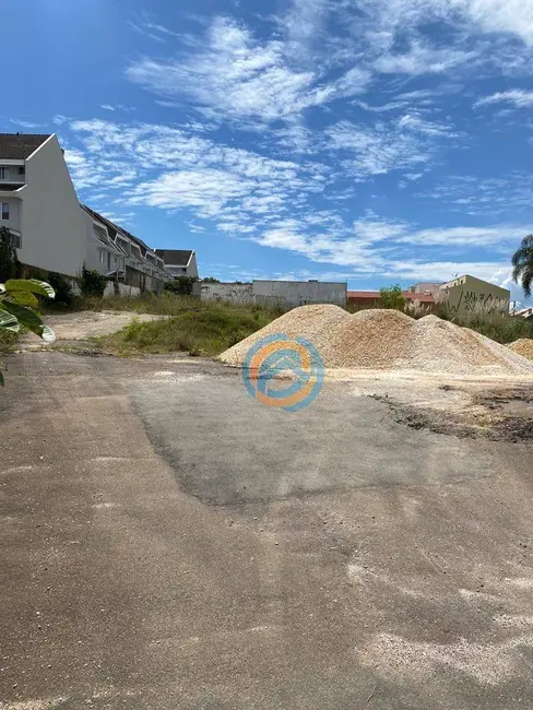 Loja para alugar, 500m2 em Uberaba, Curitiba - PR - imagem 7 Foto 7 de Loja para alugar, 500m2 em Uberaba, Curitiba - PR