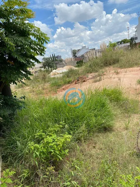 Loja para alugar, 1000m2 em Uberaba, Curitiba - PR - imagem 5 Foto 5 de Loja para alugar, 1000m2 em Uberaba, Curitiba - PR