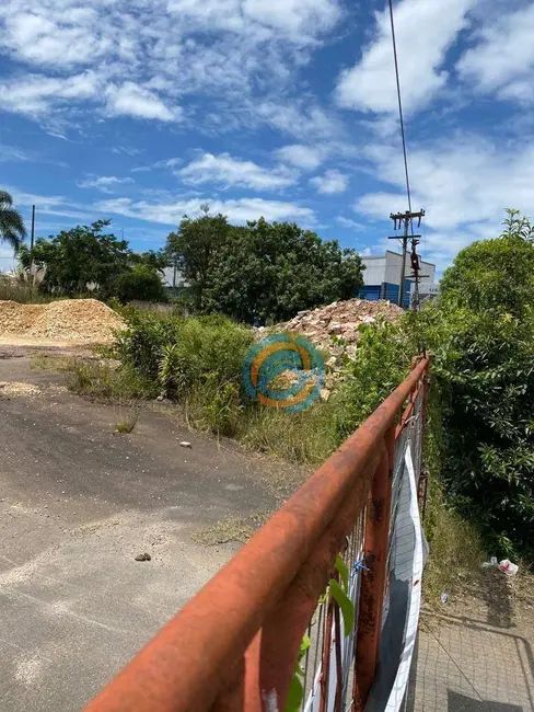 Loja para alugar, 1000m2 em Uberaba, Curitiba - PR - imagem 9 Foto 9 de Loja para alugar, 1000m2 em Uberaba, Curitiba - PR