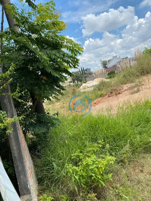 Loja para alugar, 1000m2 em Uberaba, Curitiba - PR - imagem 4 Foto 4 de Loja para alugar, 1000m2 em Uberaba, Curitiba - PR