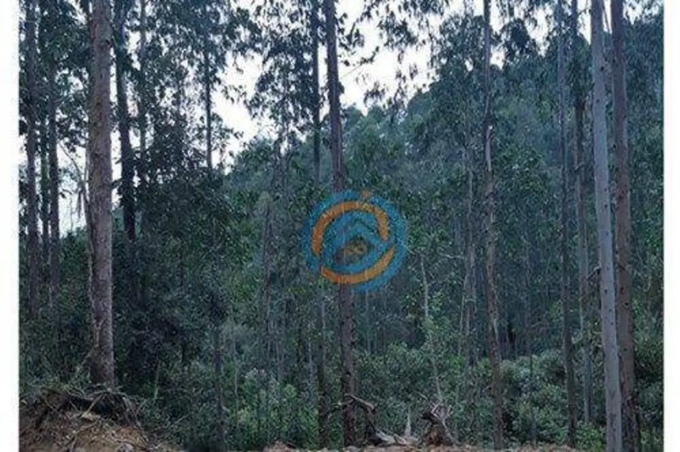 Foto 3 de Terreno / Lote à venda, 310m2 em Tunas Do Parana - PR