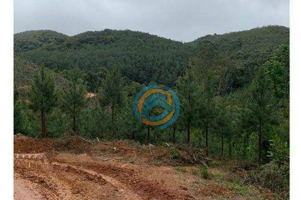 Foto 5 de Terreno / Lote à venda, 310m2 em Tunas Do Parana - PR