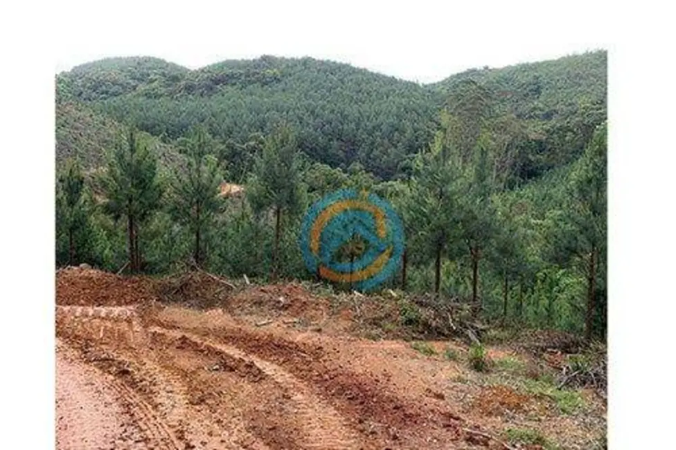 Foto 4 de Terreno / Lote à venda, 310m2 em Tunas Do Parana - PR