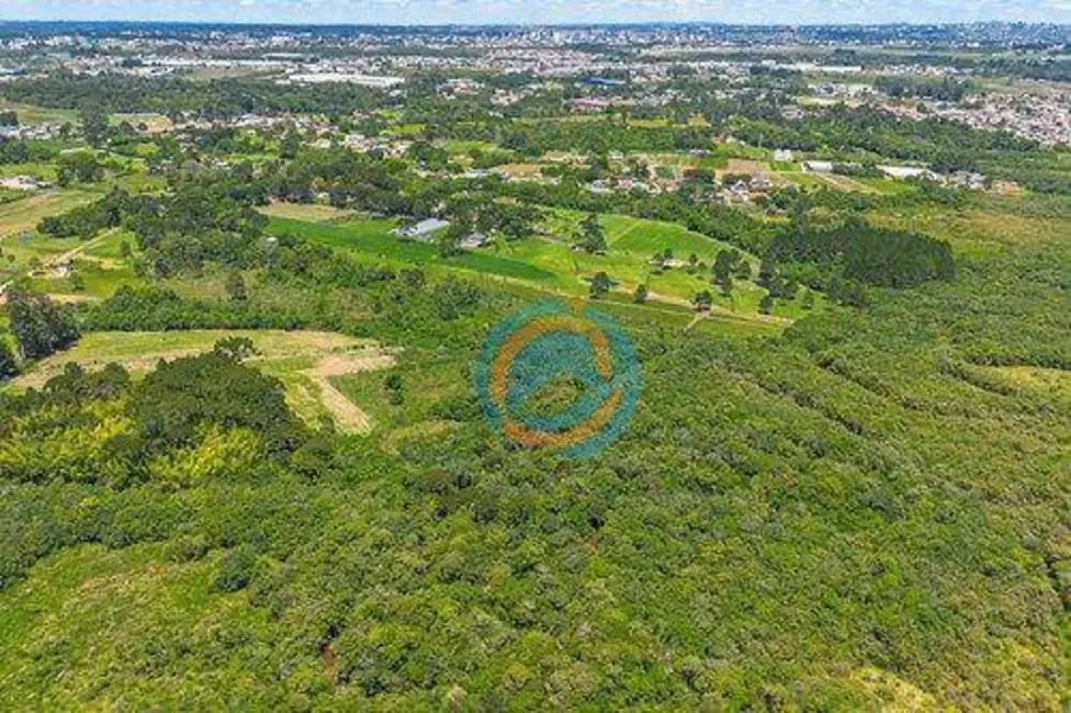 Foto 5 de Chácara à venda, 97000m2 em Colônia Murici, Sao Jose Dos Pinhais - PR