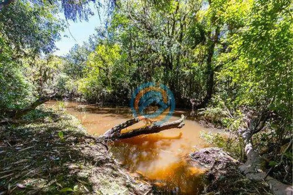 Foto 3 de Chácara à venda, 97000m2 em Colônia Murici, Sao Jose Dos Pinhais - PR