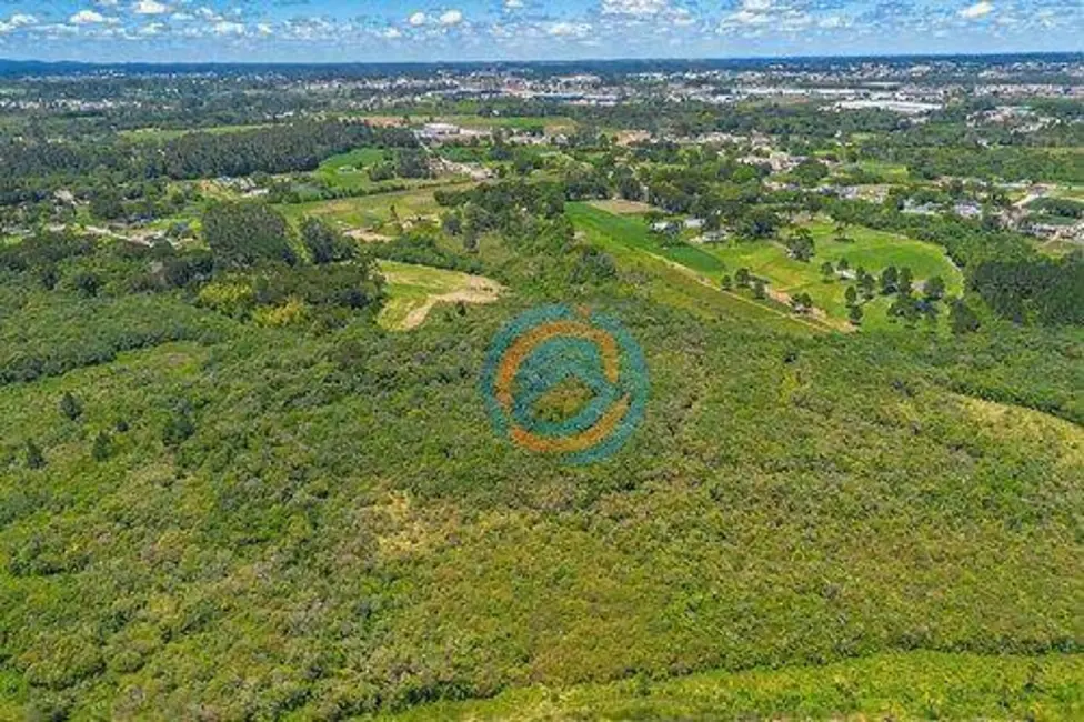 Foto 7 de Chácara à venda, 97000m2 em Colônia Murici, Sao Jose Dos Pinhais - PR