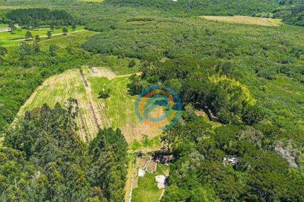 Foto 8 de Chácara à venda, 97000m2 em Colônia Murici, Sao Jose Dos Pinhais - PR