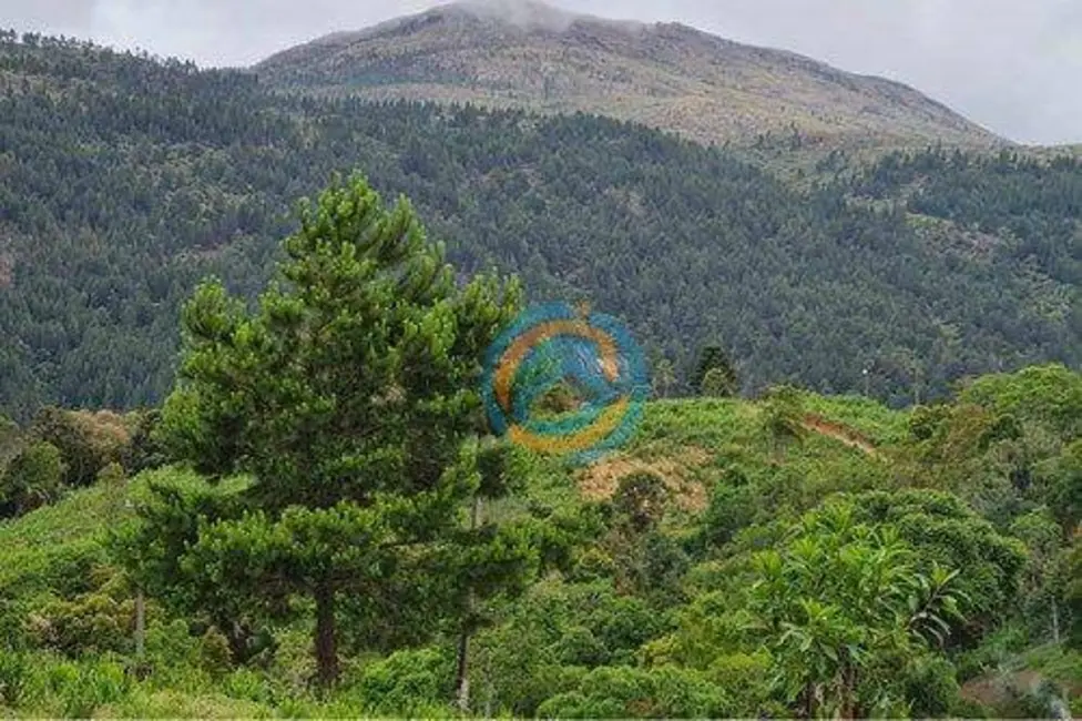 Foto 2 de Chácara à venda, 16659m2 em Tijucas Do Sul - PR
