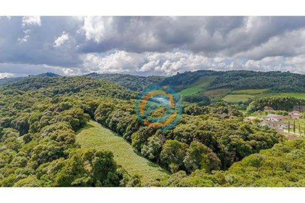 Foto 9 de Terreno / Lote à venda, 48000m2 em Boicininga, Colombo - PR