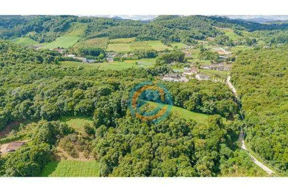 Foto 5 de Terreno / Lote à venda, 48000m2 em Boicininga, Colombo - PR