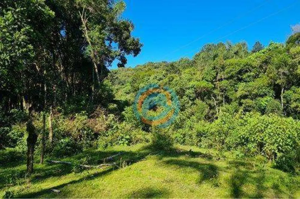 Chácara com 2 quartos à venda, 47300m2 em Tijucas Do Sul - PR - imagem 5 Foto 5 de Chácara com 2 quartos à venda, 47300m2 em Tijucas Do Sul - PR