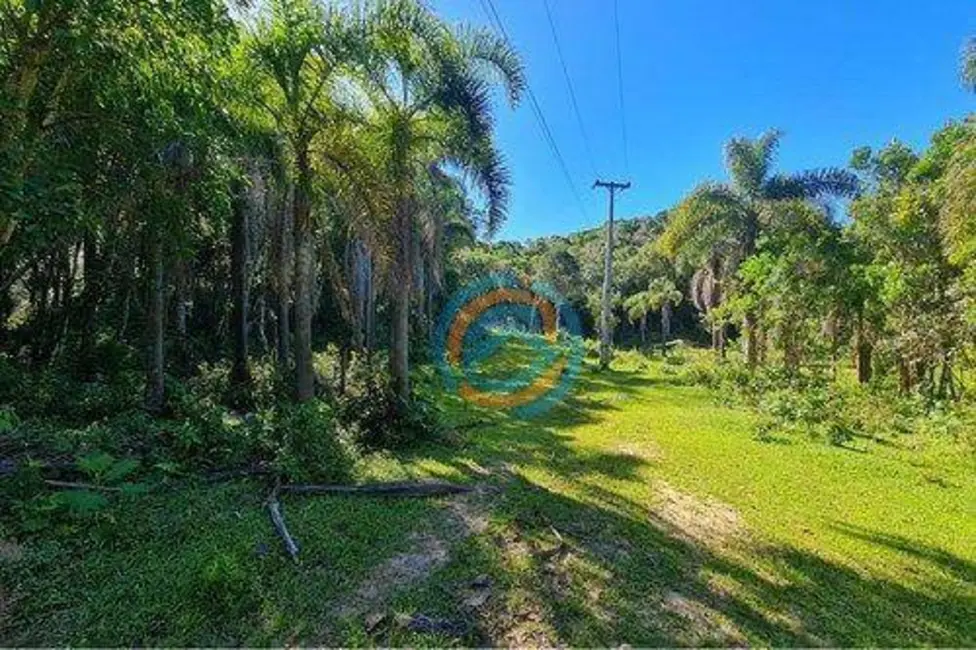 Chácara com 2 quartos à venda, 47300m2 em Tijucas Do Sul - PR - imagem 4 Foto 4 de Chácara com 2 quartos à venda, 47300m2 em Tijucas Do Sul - PR