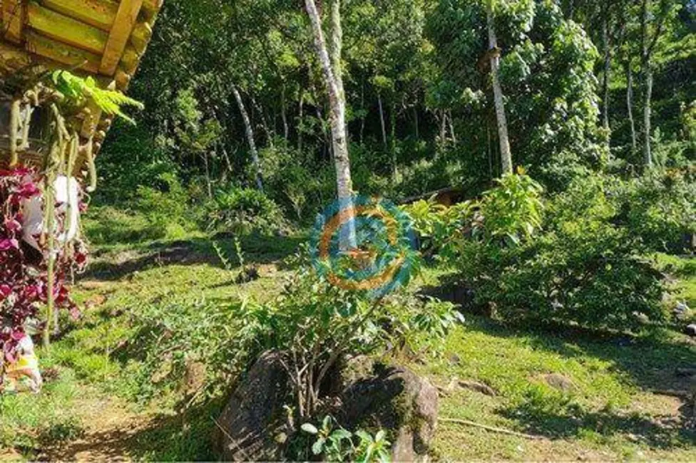 Chácara com 2 quartos à venda, 47300m2 em Tijucas Do Sul - PR - imagem 8 Foto 8 de Chácara com 2 quartos à venda, 47300m2 em Tijucas Do Sul - PR