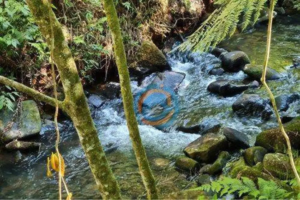 Chácara com 2 quartos à venda, 47300m2 em Tijucas Do Sul - PR - imagem 3 Foto 3 de Chácara com 2 quartos à venda, 47300m2 em Tijucas Do Sul - PR