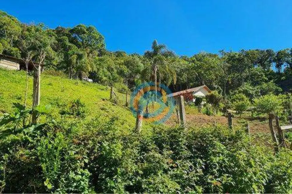 Chácara com 2 quartos à venda, 47300m2 em Tijucas Do Sul - PR - imagem 9 Foto 9 de Chácara com 2 quartos à venda, 47300m2 em Tijucas Do Sul - PR