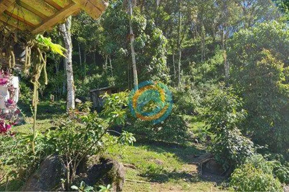 Chácara com 2 quartos à venda, 47300m2 em Tijucas Do Sul - PR - imagem 7 Foto 7 de Chácara com 2 quartos à venda, 47300m2 em Tijucas Do Sul - PR