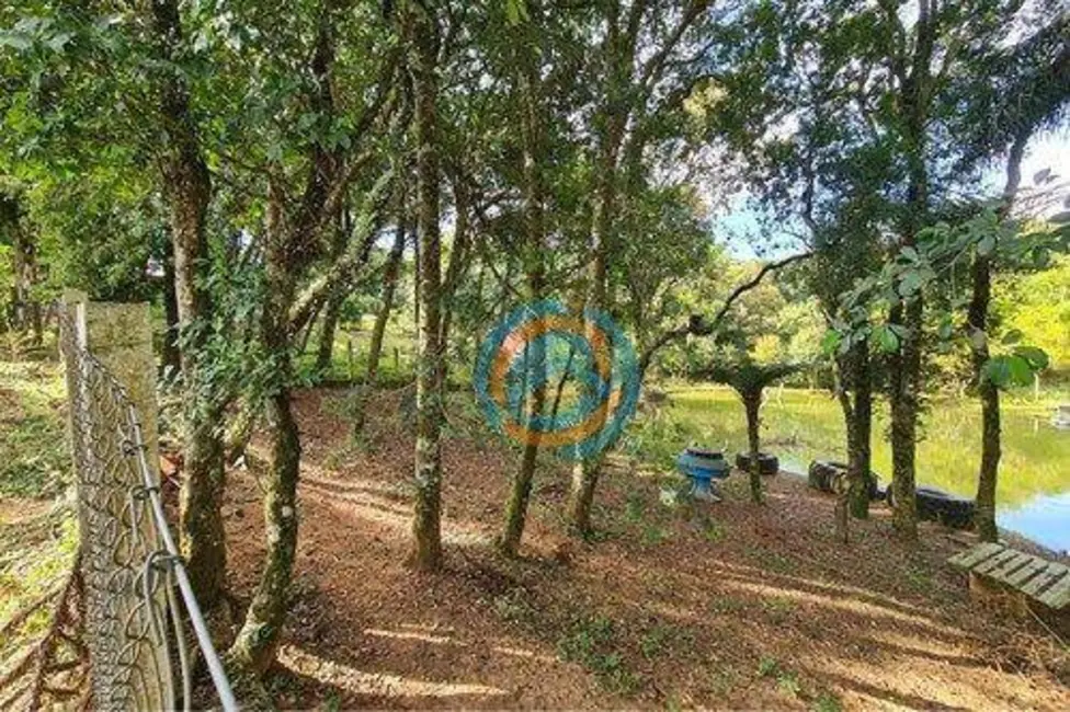 Foto 9 de Armazém / Galpão à venda, 5294m2 em Zacarias, Sao Jose Dos Pinhais - PR