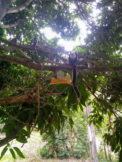 Foto 46 de Chácara com 6 quartos à venda em Vila Velha - ES