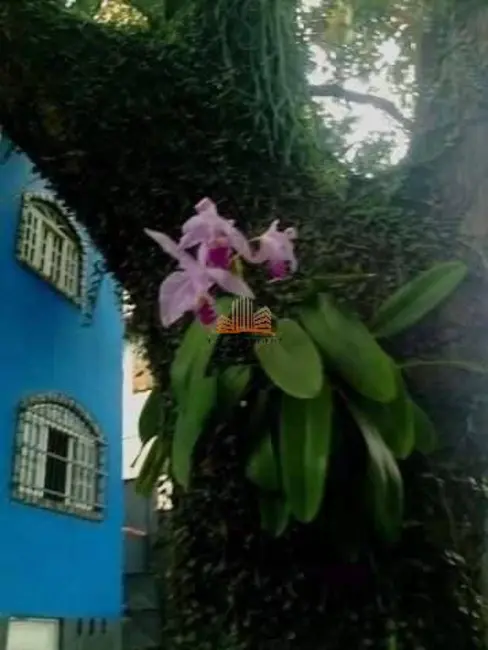 Casa com 6 quartos à venda, 648m2 em Ataíde, Vila Velha - ES - imagem 8 Foto 8 de Casa com 6 quartos à venda, 648m2 em Ataíde, Vila Velha - ES