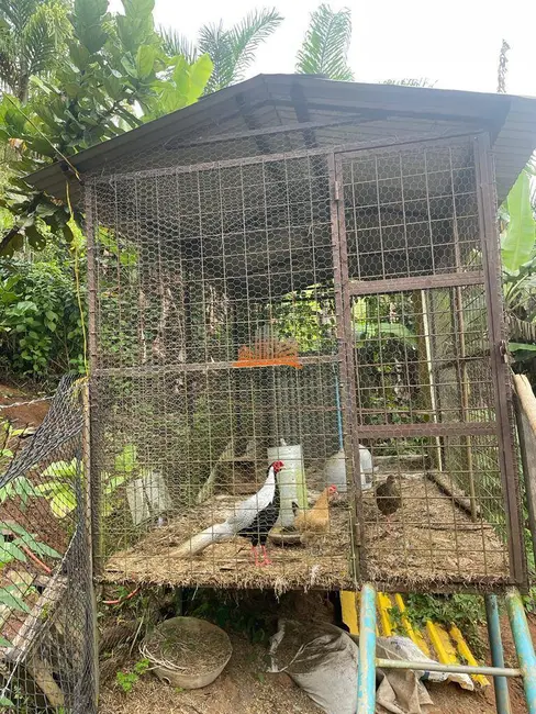 Chácara com 3 quartos à venda em Santa Leopoldina - ES - imagem 4 Foto 4 de Chácara com 3 quartos à venda em Santa Leopoldina - ES